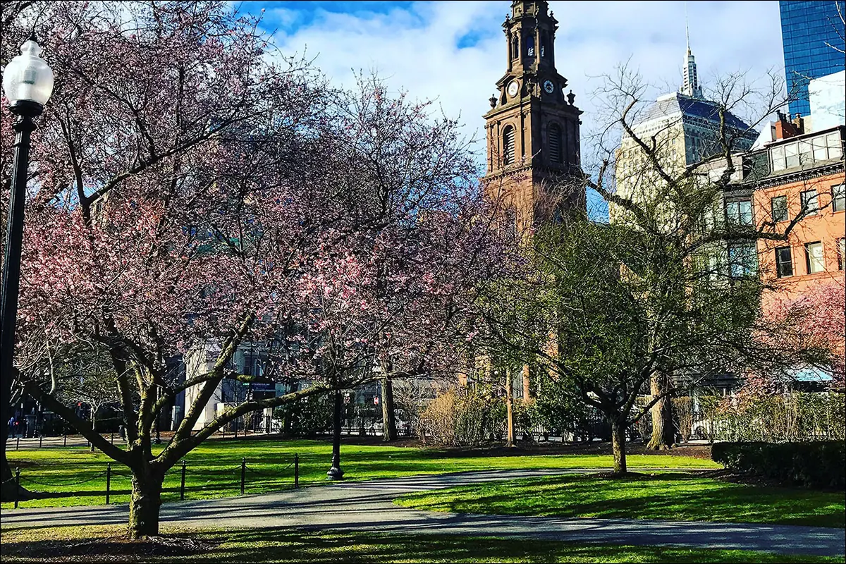 Весна в Бостоне