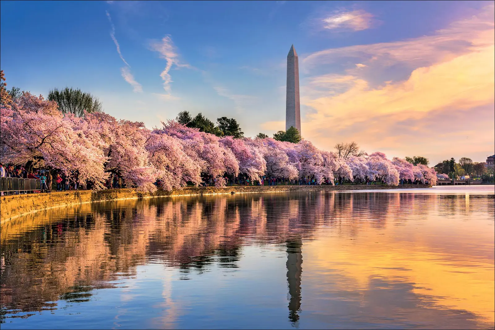 Весна в Вашингтоне