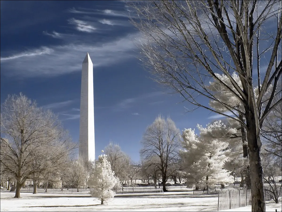 Зима в Вашингтоне