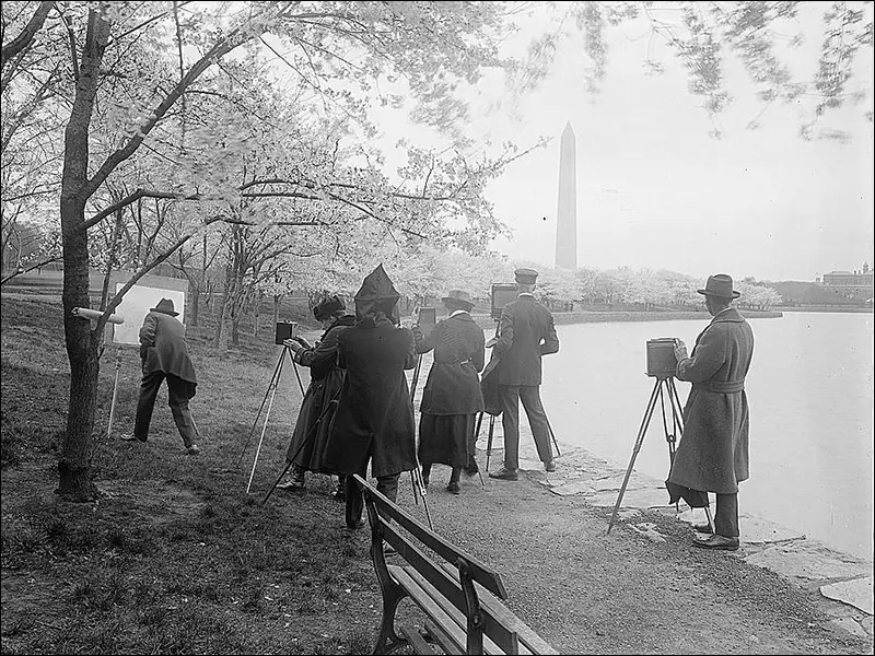 Фотографы снимают в Вашингтоне цветущие вишни