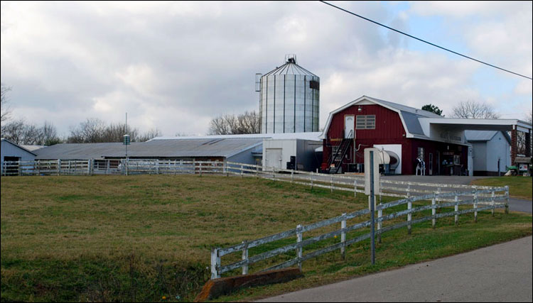Ферма в Алабаме