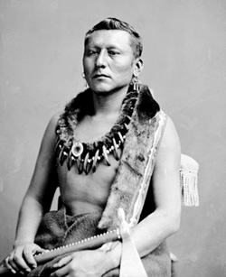 Индеец племени осейдж, 1876 год