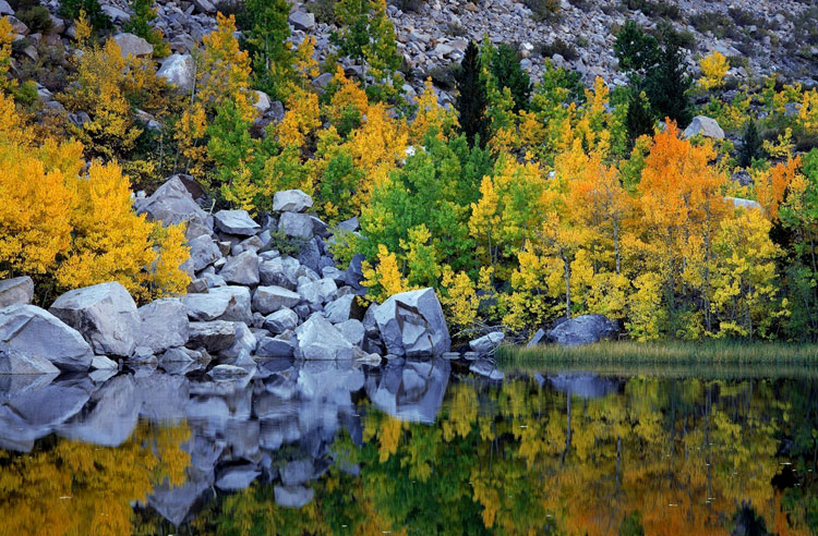 Осень в горах Сьерра-Невада
