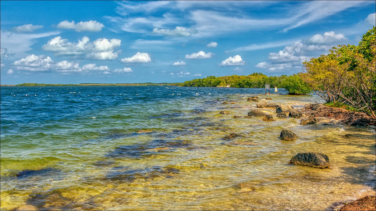 На побережье острова Ки-Ларго