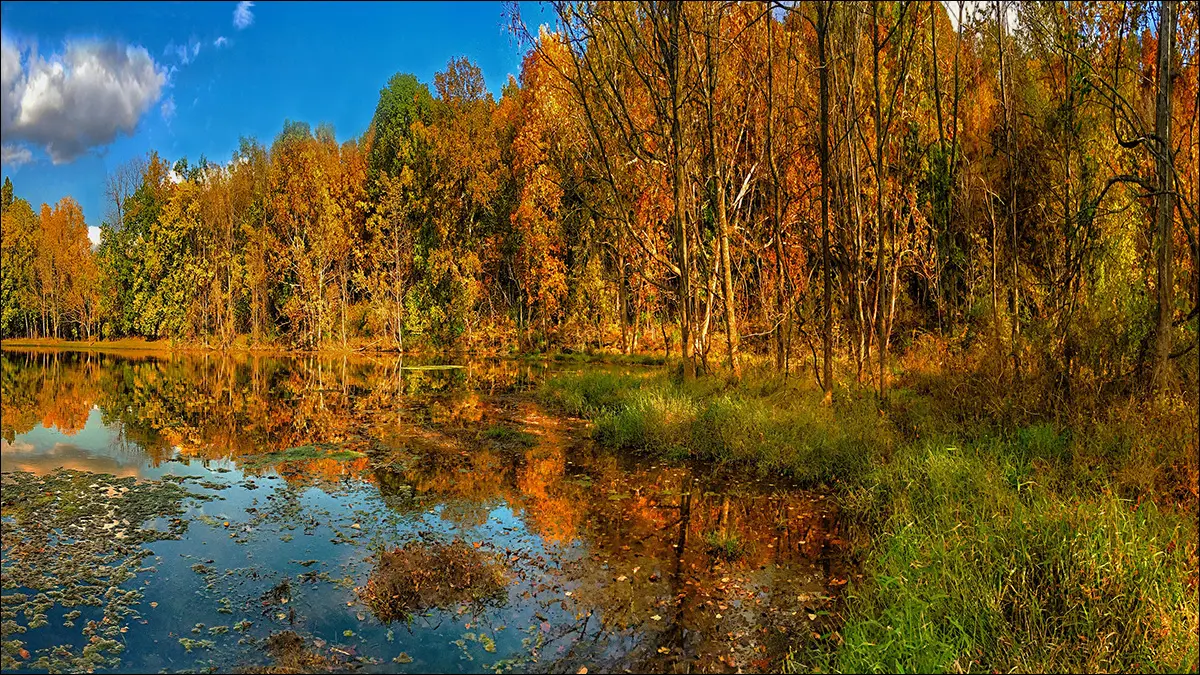 Осень в Озарке