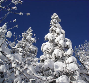 Зима в Вермонте