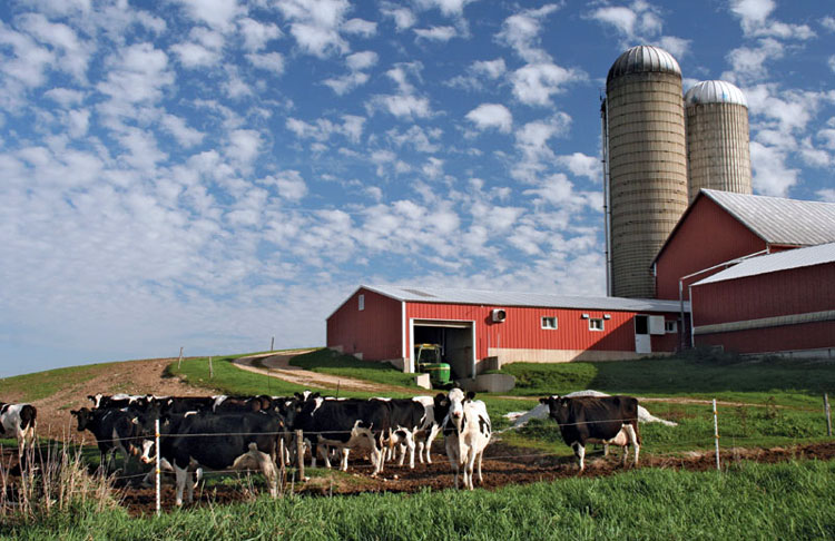 Молочная ферма в Висконсине